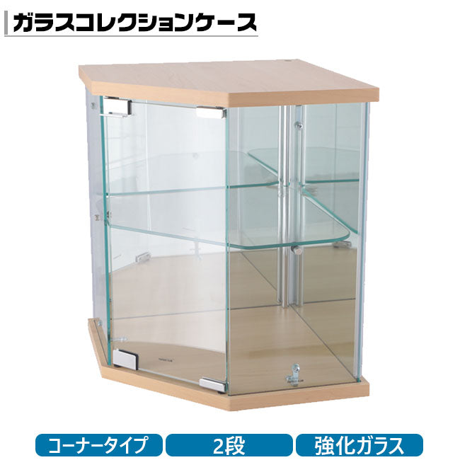 卓上ガラスコレクションケース コーナー 背面ミラー付き ディスプレイ 保管【FB74076】