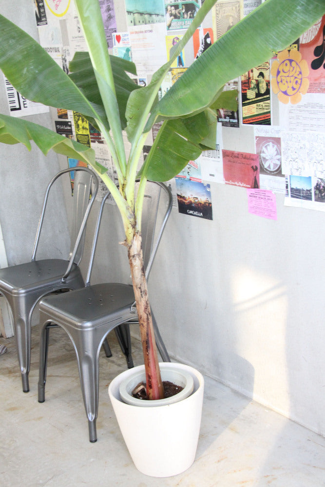 クレール チェア スタッキング ダイニングチェア 積み重ね スチール 椅子 来客用 予備椅子【az-pc133】