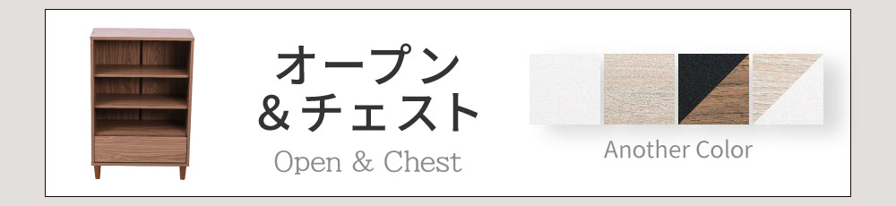 本棚とキャビネットの機能を兼ね備えています
