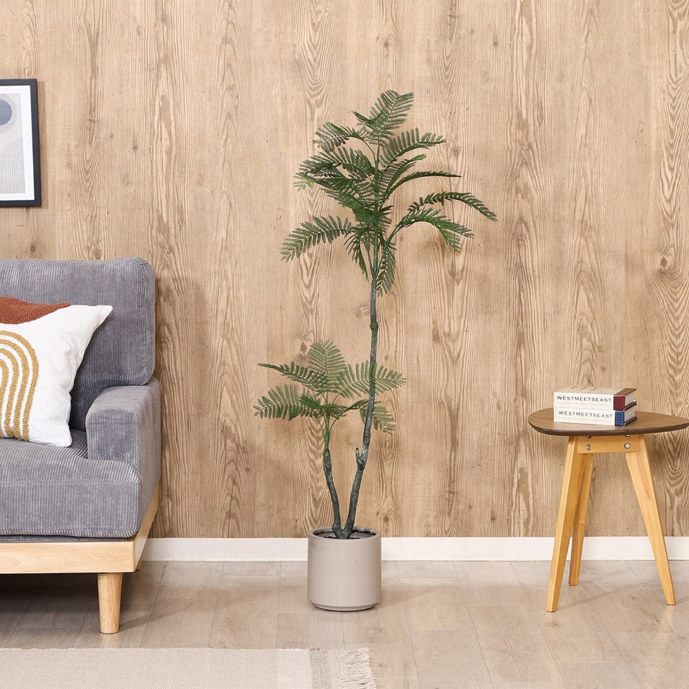 メンテ不要 水やり不要 無管理植物