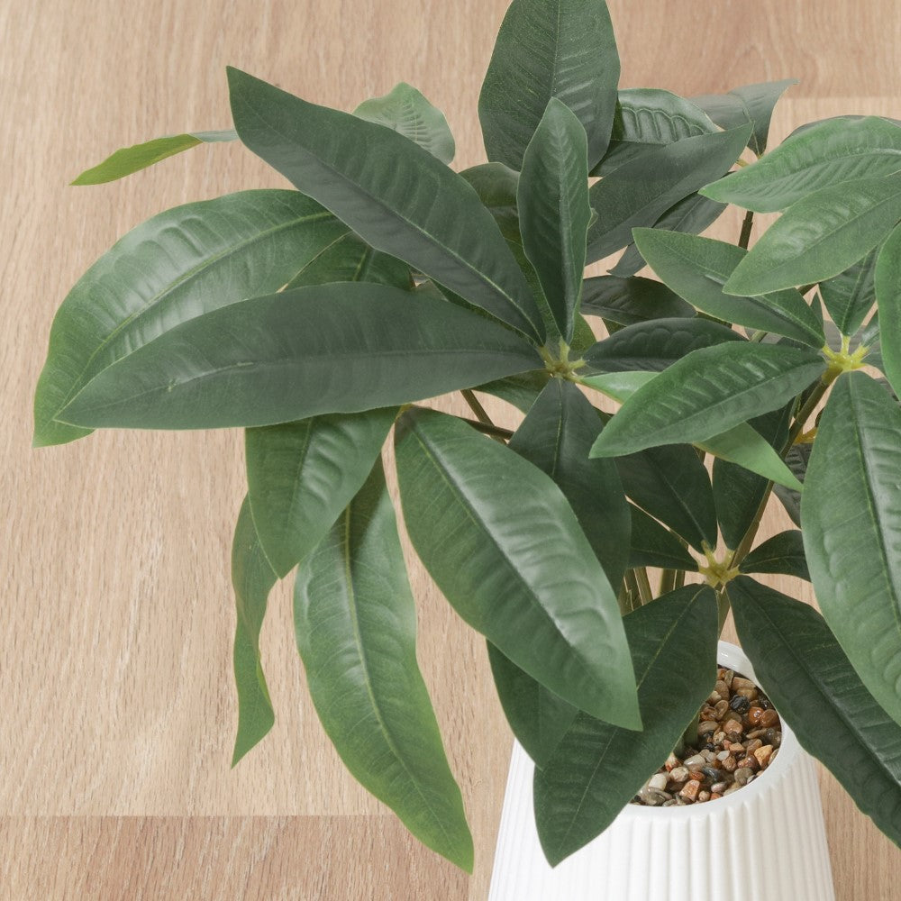 インテリア緑化 インテリア植物 グリーン雑貨