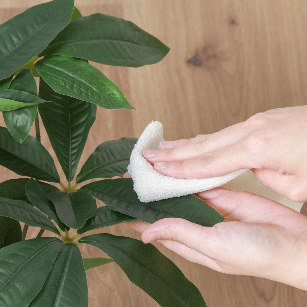 ミニ観葉 デスクグリーン 小型グリーン