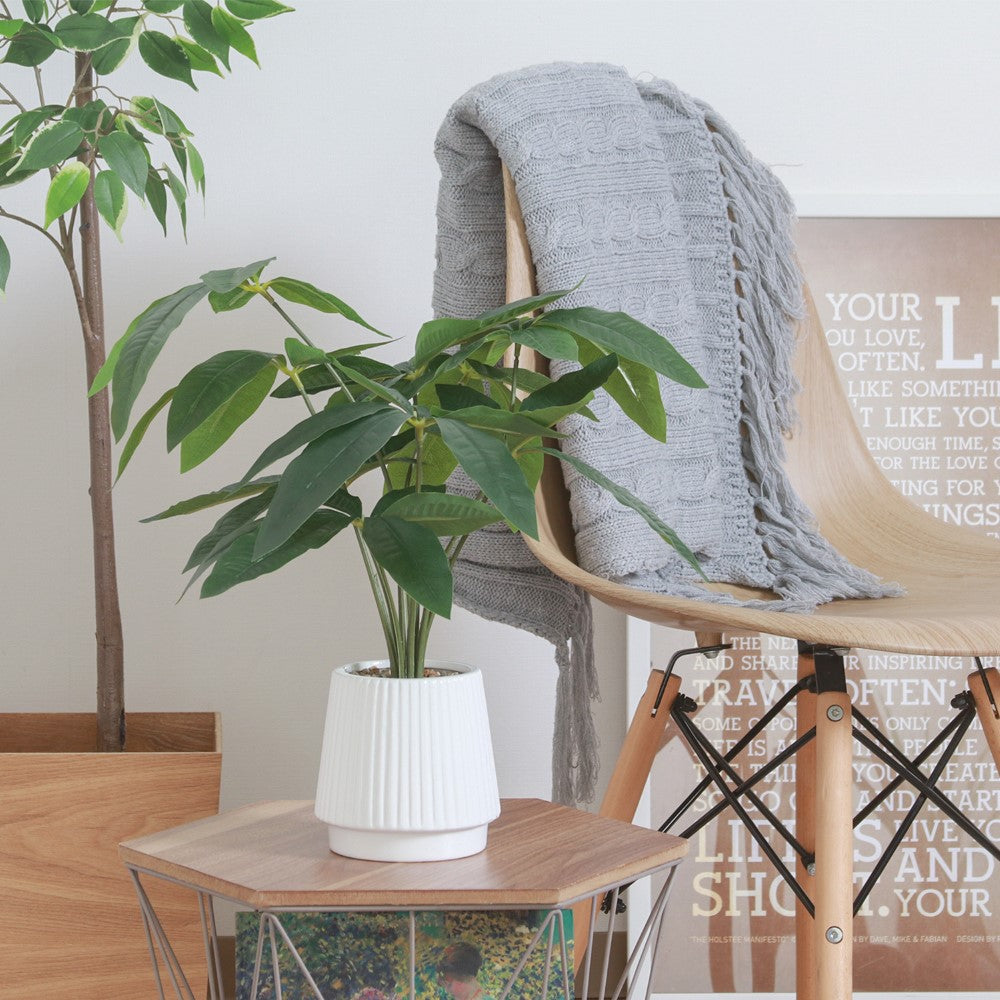 手軽グリーン メンテ不要 手間なし緑化