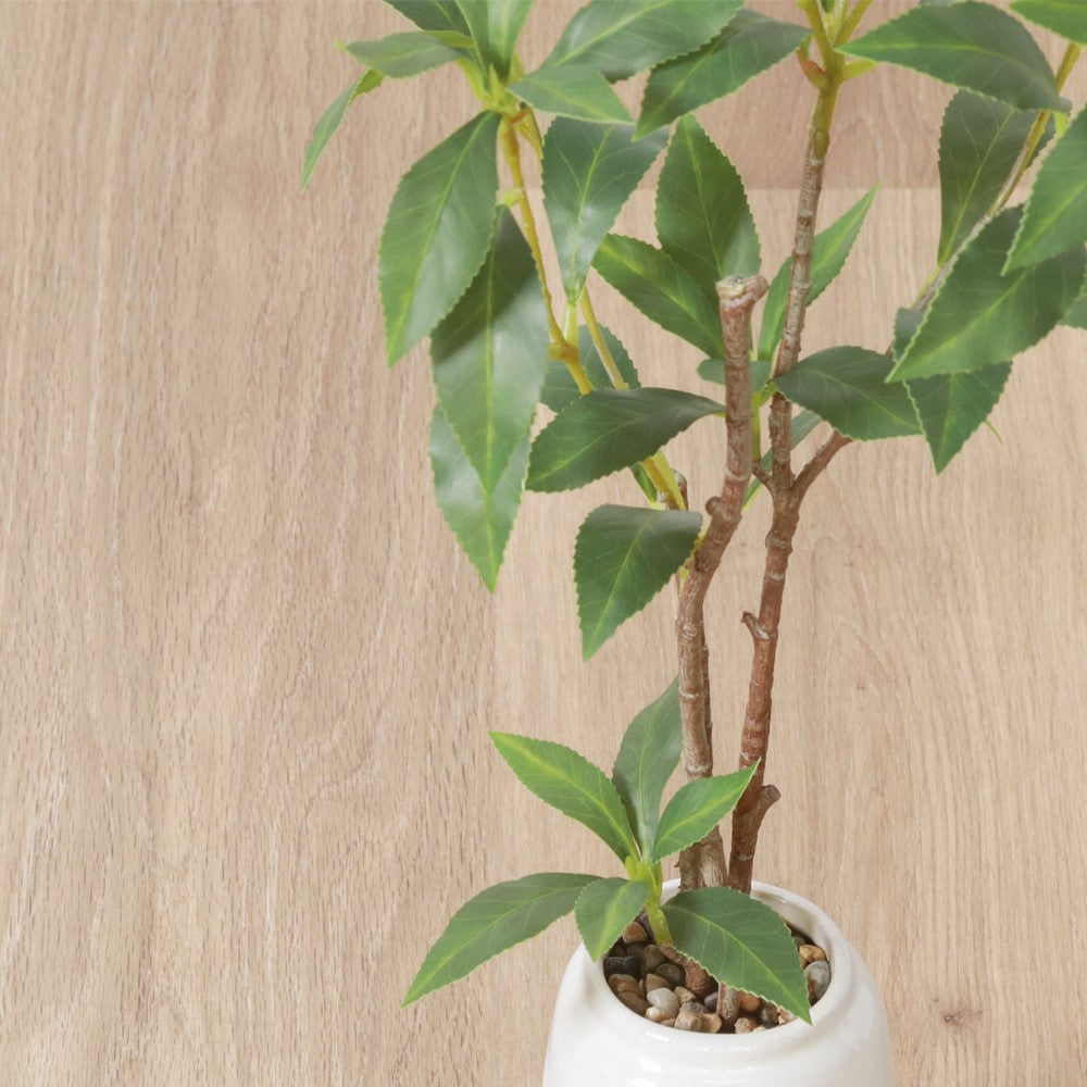 フェイクグリーン 観葉植物 インテリアポット 卓上 簡単手入れ パキラ アロエ シダ 【FB-GRN-TP】