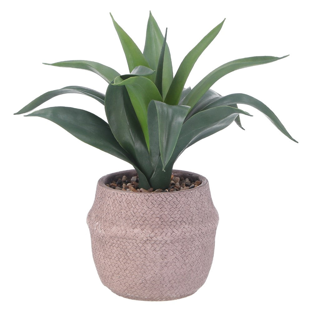 視覚リラックス デコアイテム ボタニカル風