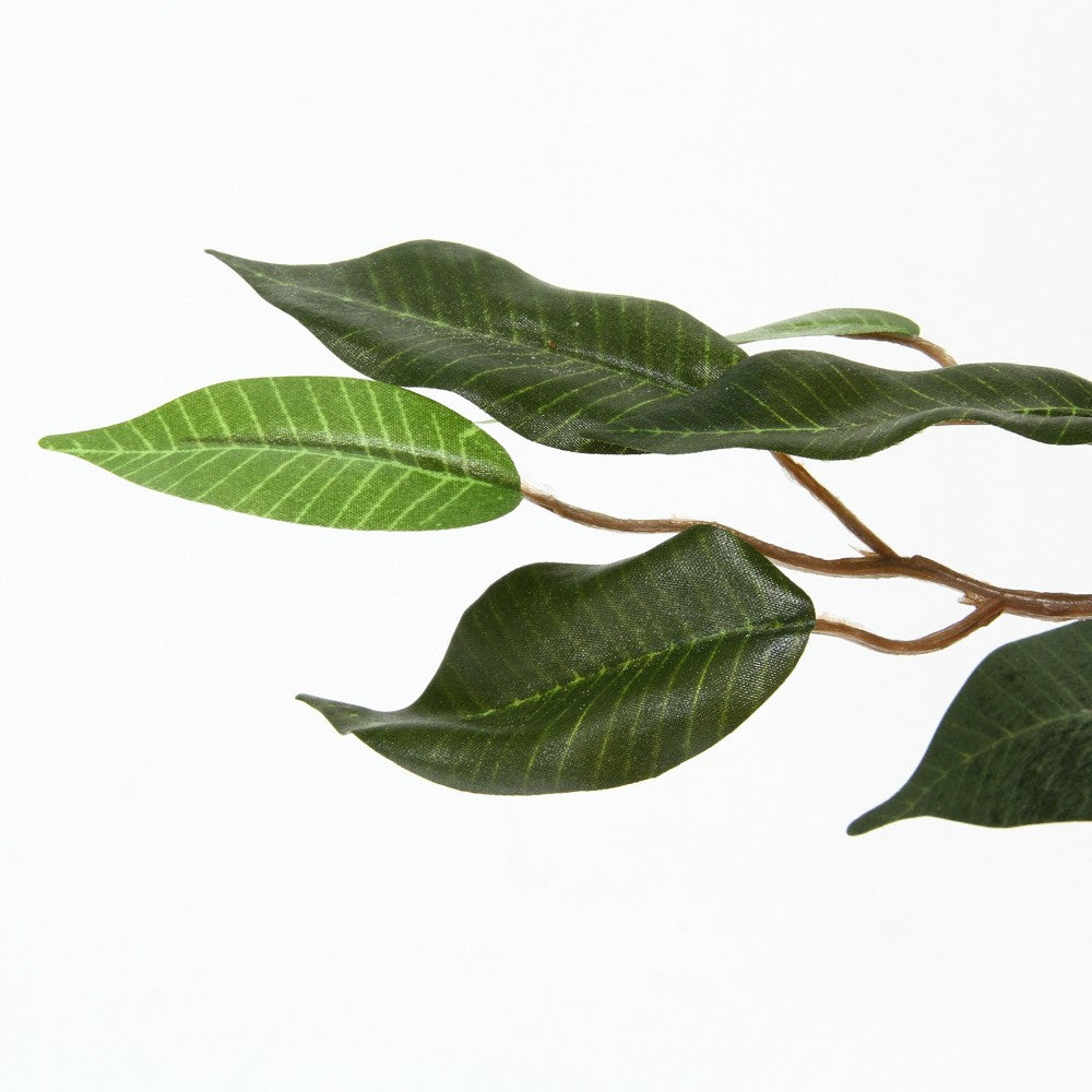 楕円葉 柔らかい葉 リアル再現