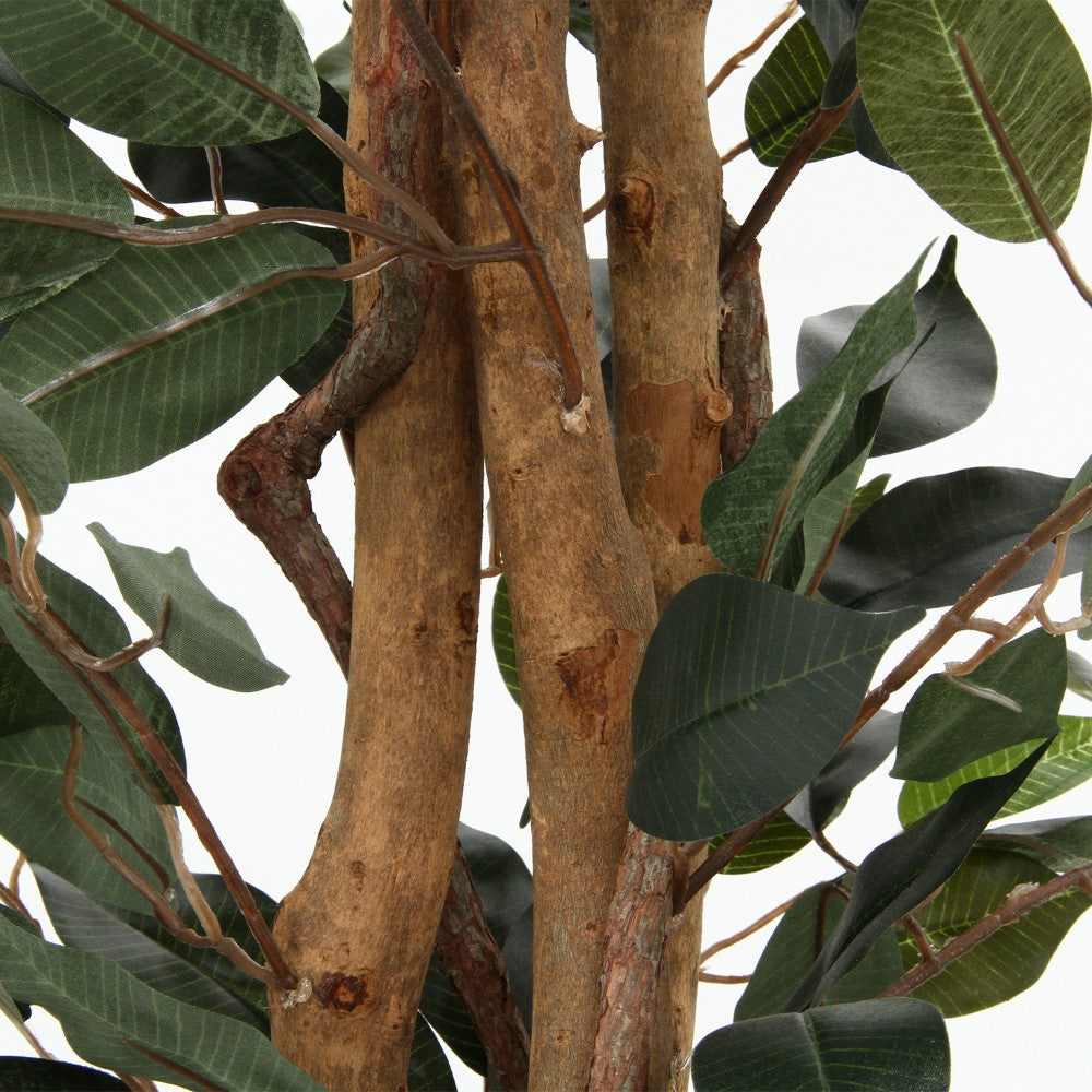 癒し空間 リラックス効果 ナチュラル感