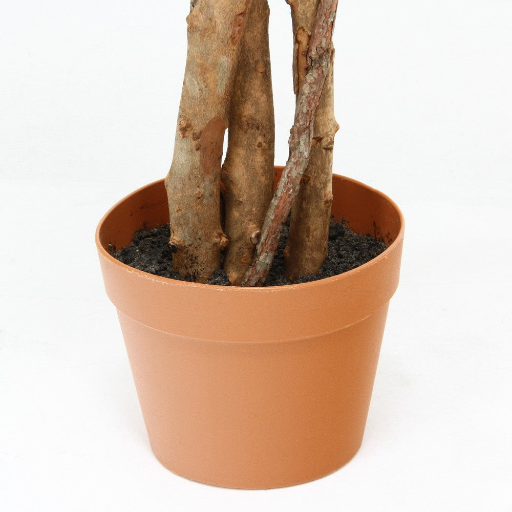 インテリア装飾 室内植物 グリーン装飾