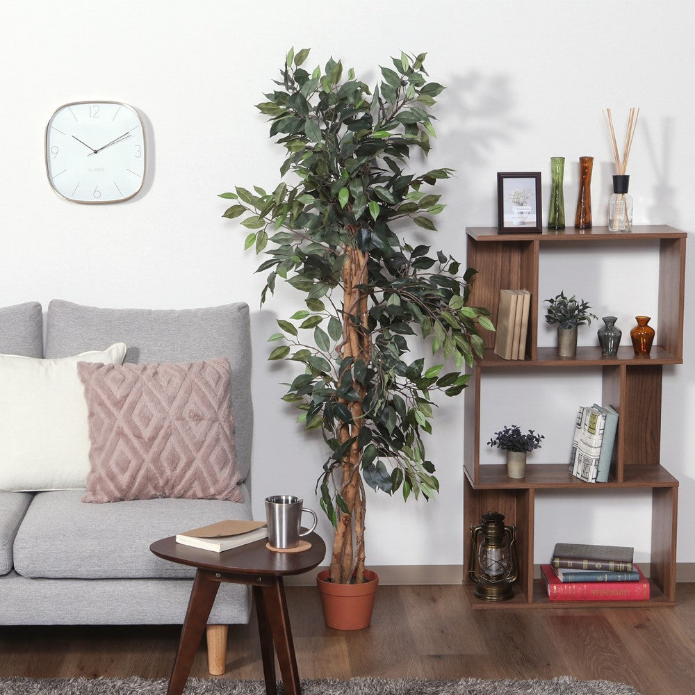 リビング植物 玄関グリーン オフィスグリーン