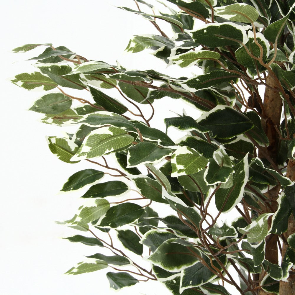 観葉植物 フィカス 大型フェイクグリーン 人工観葉植物 インテリアグリーン 楕円形葉 【TY-GRN-YKF】