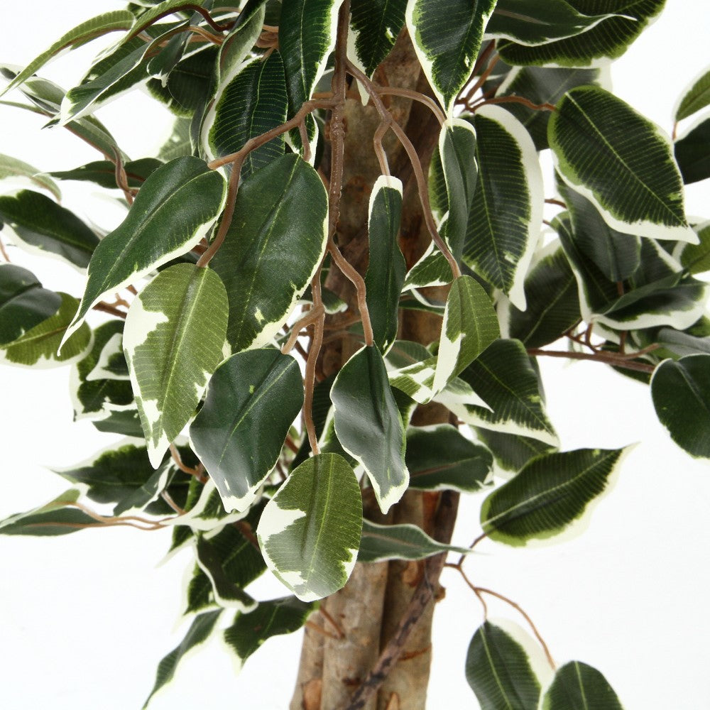 観葉植物 フィカス 大型フェイクグリーン 人工観葉植物 インテリアグリーン 楕円形葉 【TY-GRN-YKF】