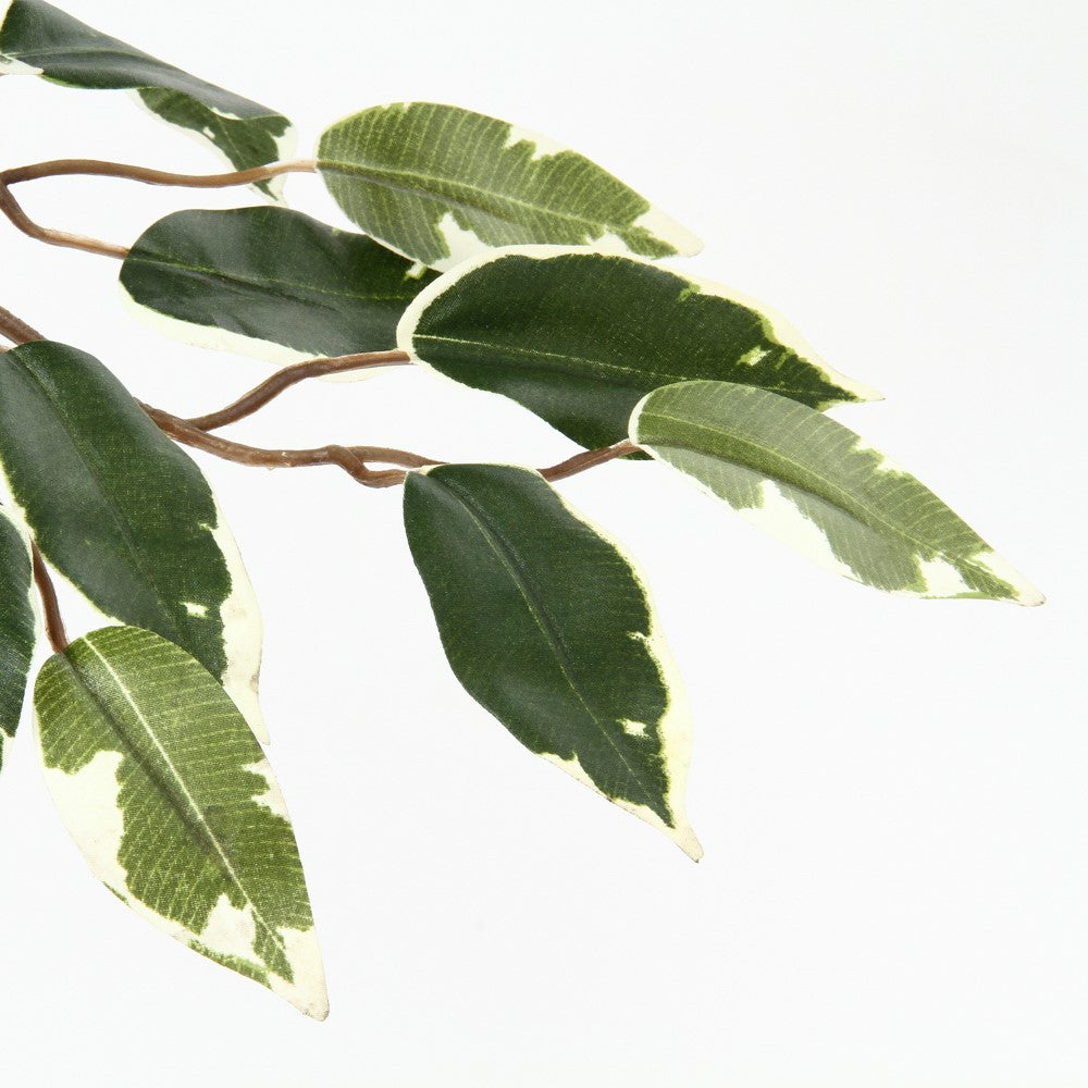 観葉植物 フィカス 大型フェイクグリーン 人工観葉植物 インテリアグリーン 楕円形葉 【TY-GRN-YKF】