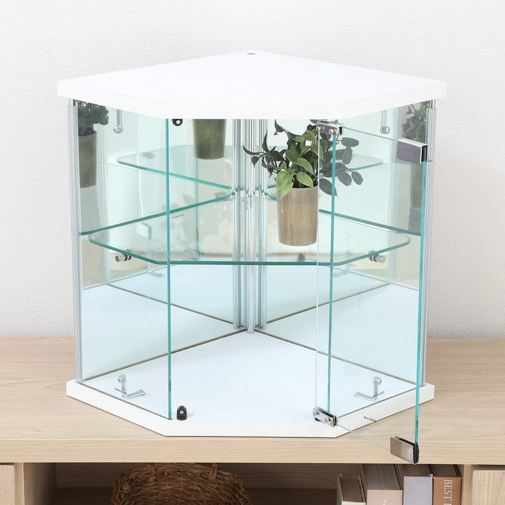 コーナータイプ コレクションケース 背面ミラー付き