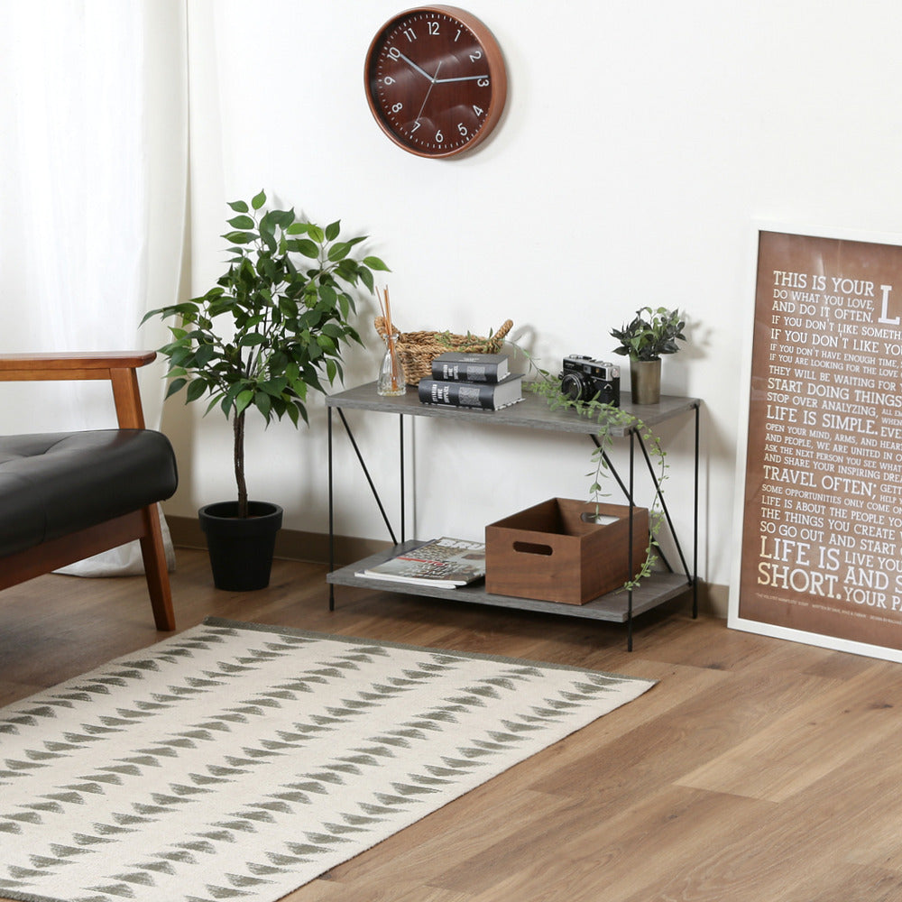 ワイヤーラック EZBO オープンラック リビング収納 ディスプレイ棚 インテリア家具 組立品【FBEZBO】