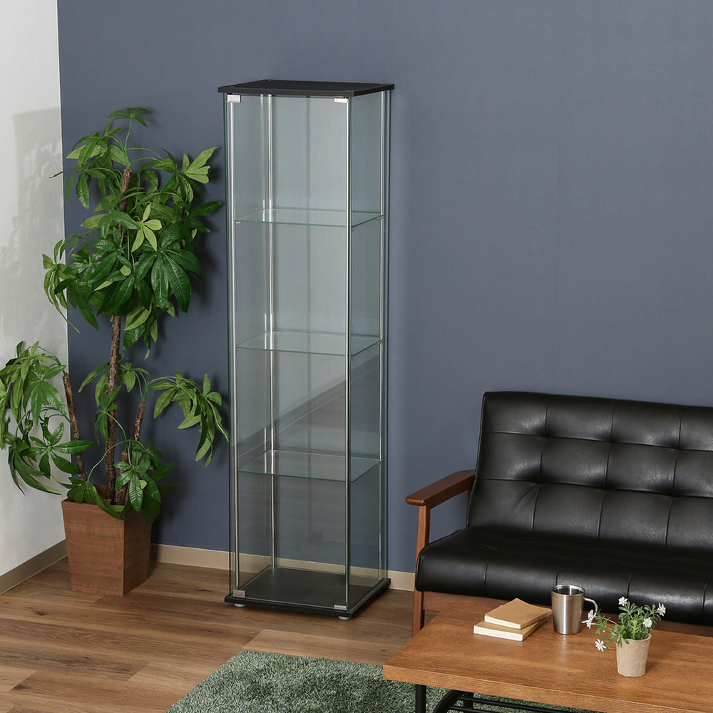 フィギュア 透明感 収納ケース