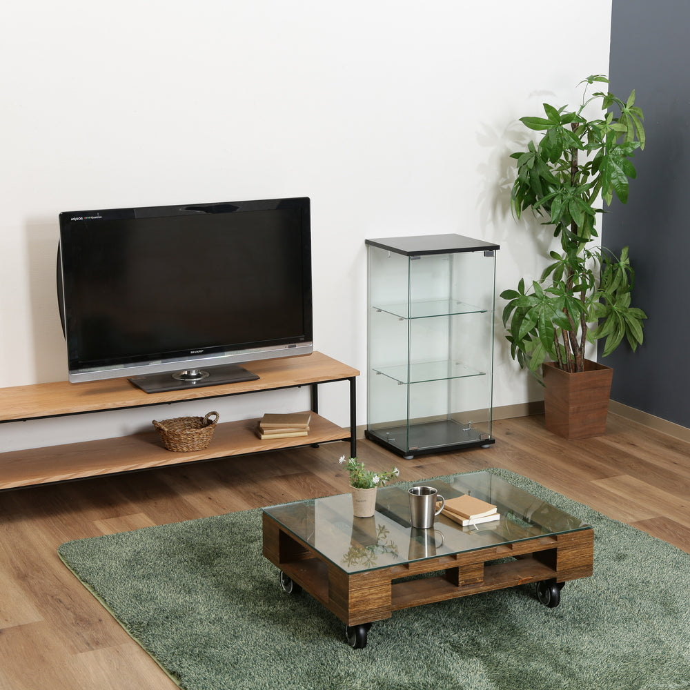 飾り棚 リビング壁面収納 全面ガラス