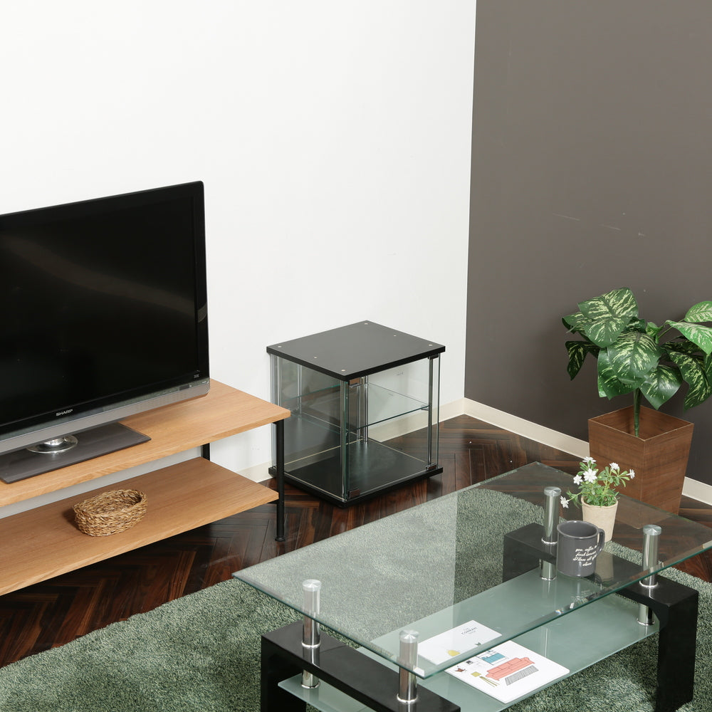 上下兼用 リビング収納 ガラスコレクションボックス