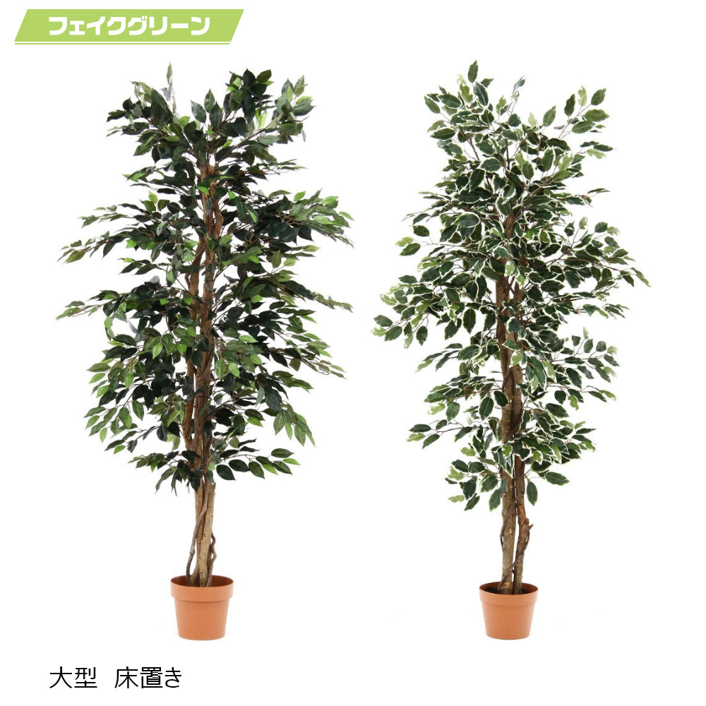 オフィスフェイクグリーン 床置き フィカス