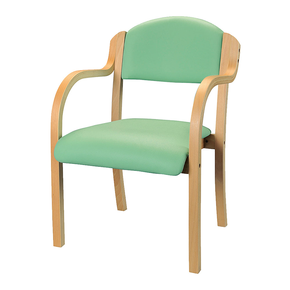 グリーン ソフトレザー フレームナチュラル 介護 病院 スタンダード