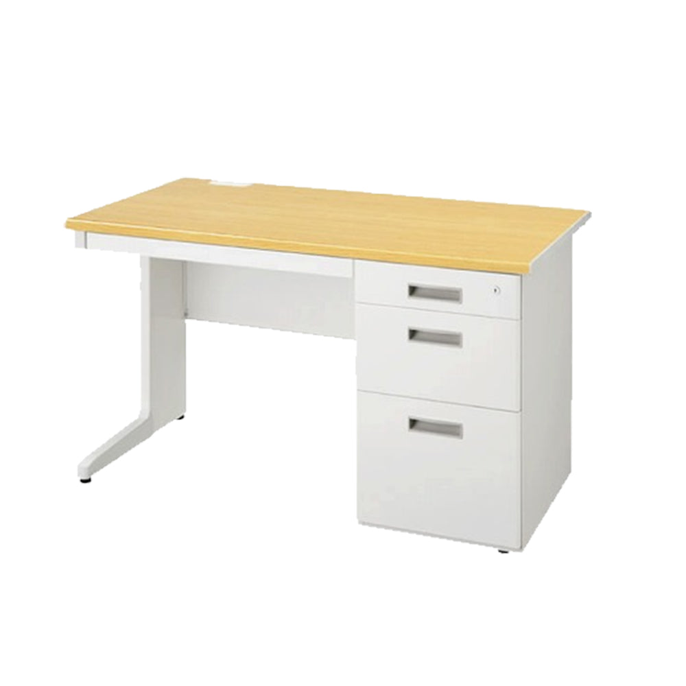 ペールアルダー ホワイトの本体 A4ファイル保存