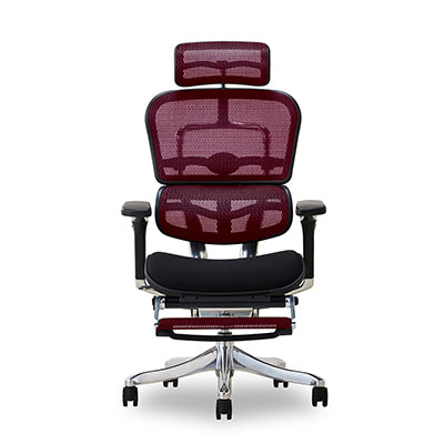 エルゴヒューマン プロ オットマン Ergohuman ハイスペックチェア 収納式オットマン ProOttoman