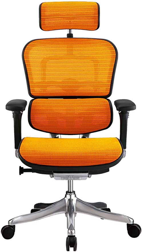 エルゴヒューマン Pro Ergohuman プロ 多機能チェア ハイスペックチェア オフィス