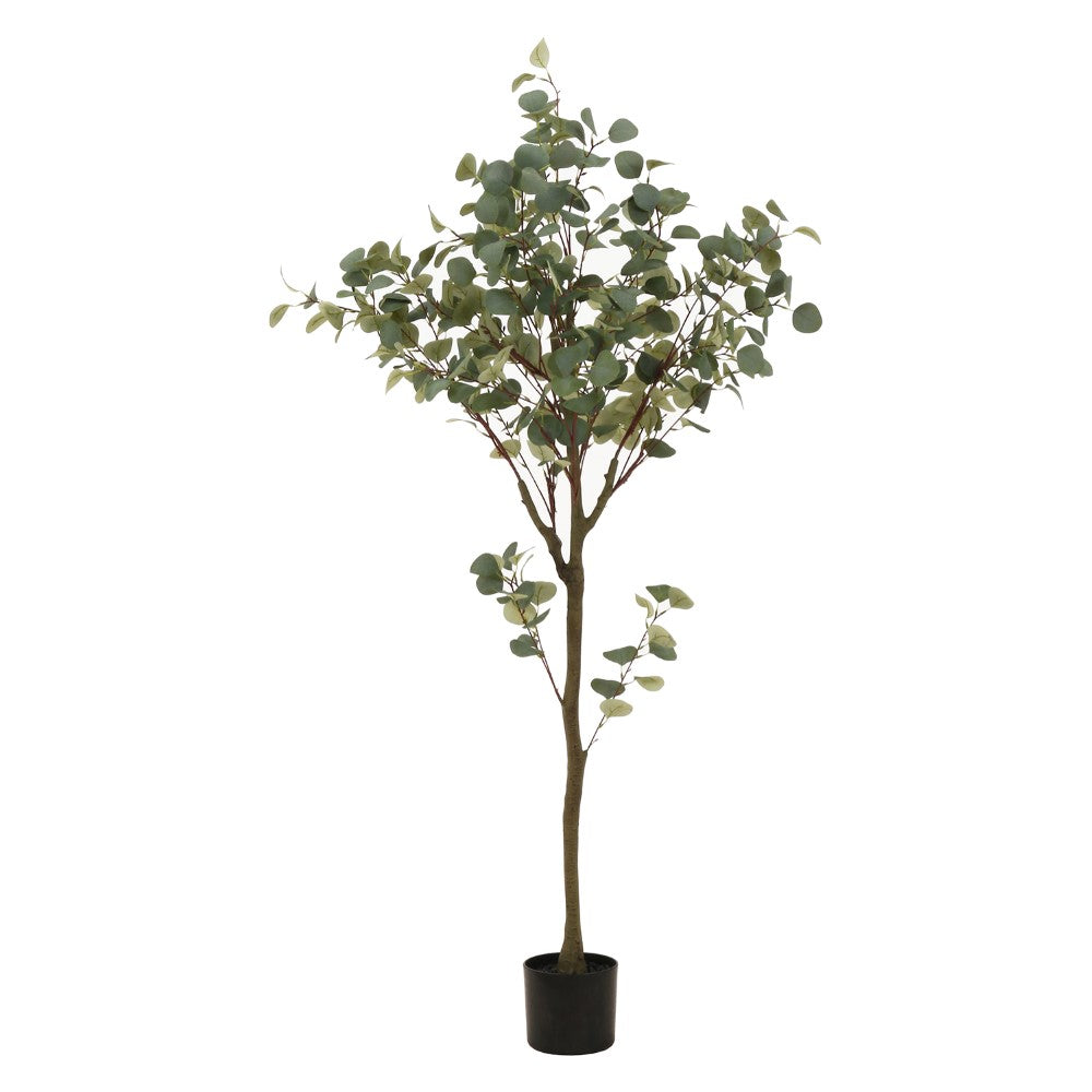 ナチュラル雑貨　緑のアクセント　自然風デザイン