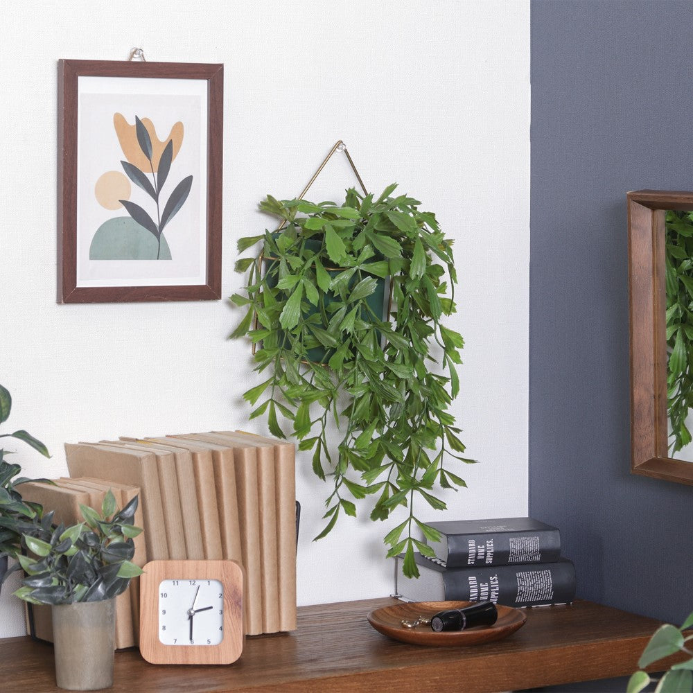 壁掛けインテリア　壁飾りグリーン　空間アクセント