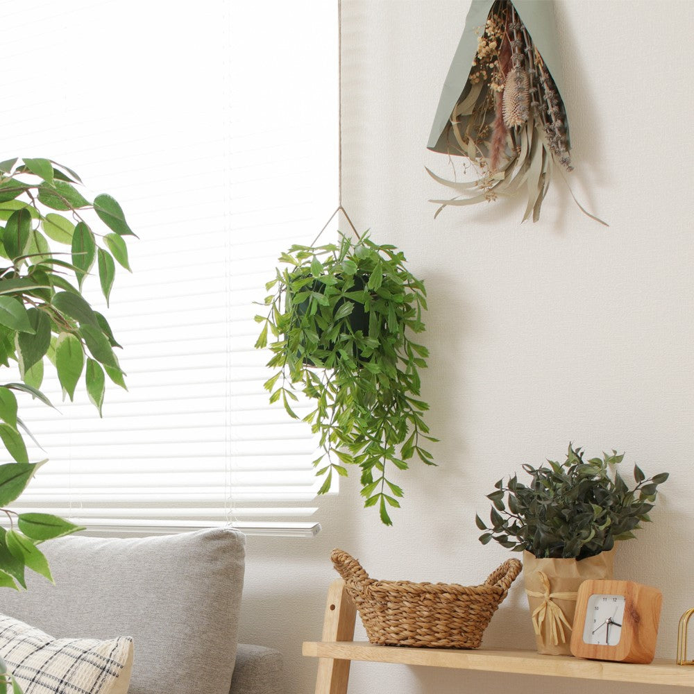 省スペース装飾　インテリア　ハンギングデザイン