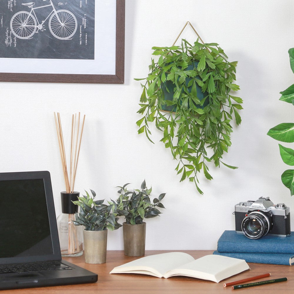 ミニグリーン　室内グリーン　リビング装飾