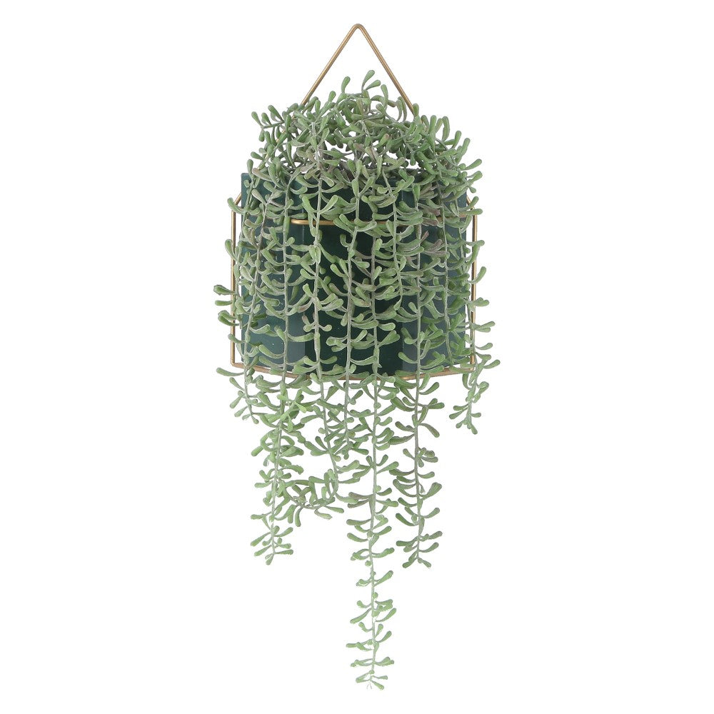 壁面緑化　おしゃれグリーン　ホームデコレーション