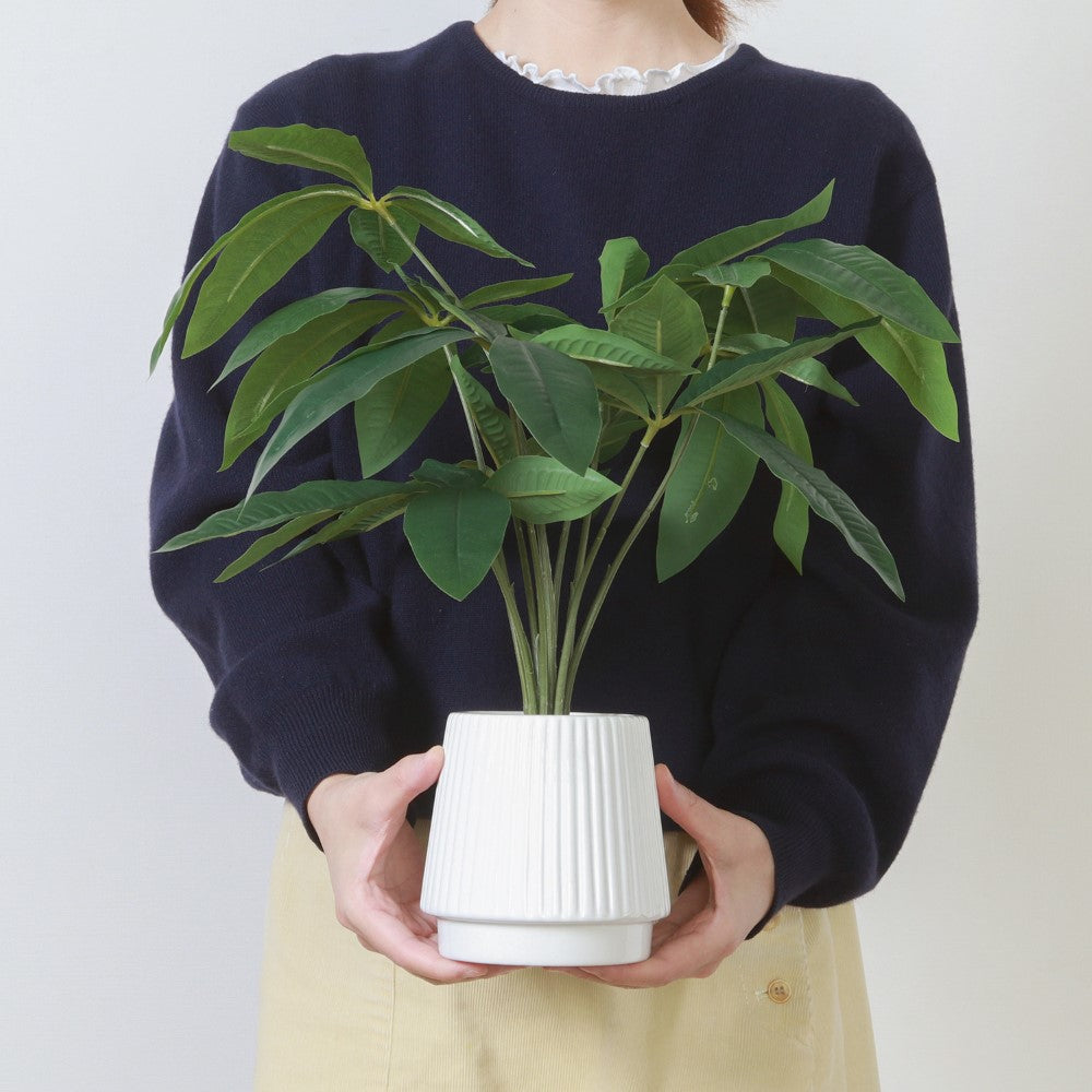 テーブル植物　スタイリンググリーン　置き型グリーン