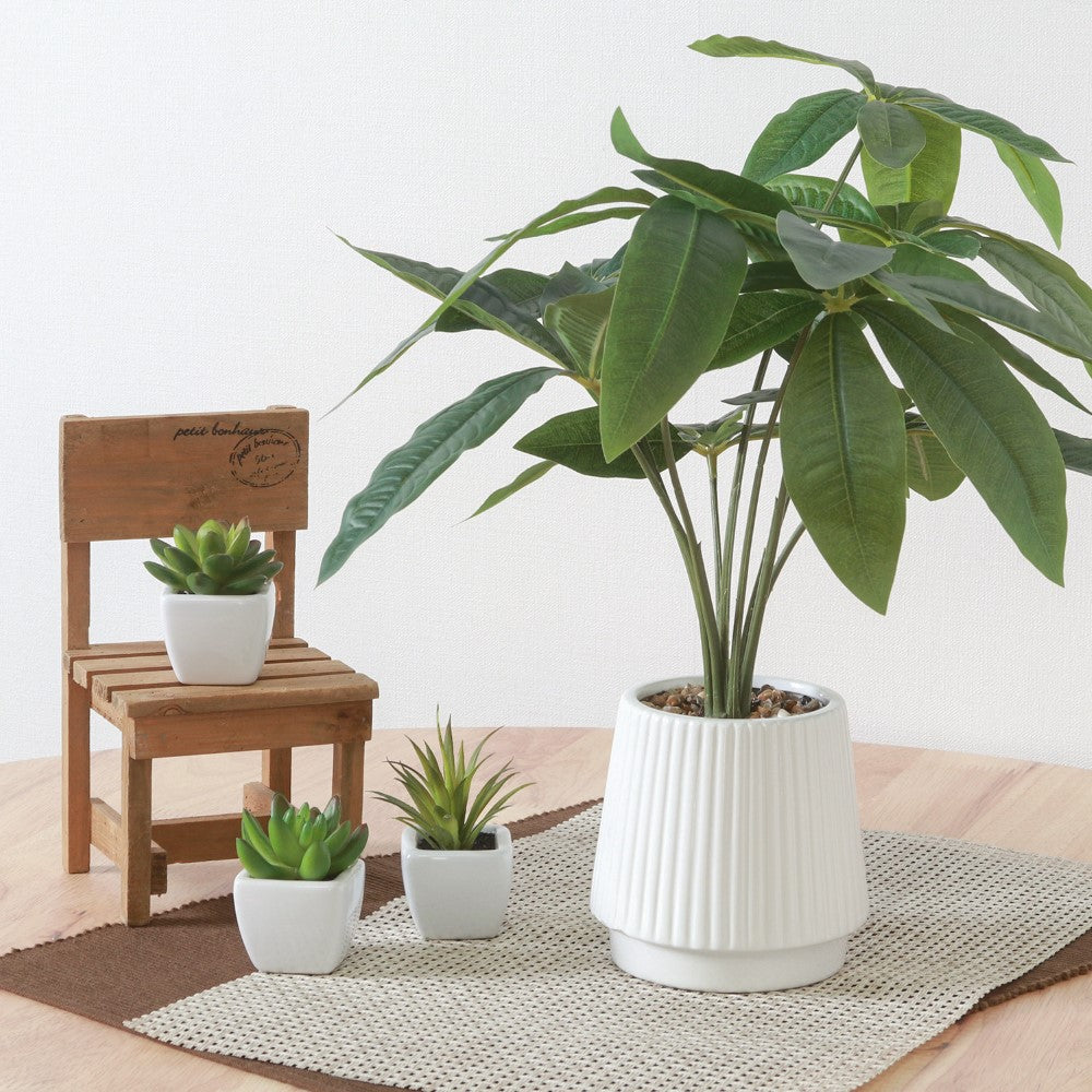 癒しグリーン　装飾植物　ナチュラル風