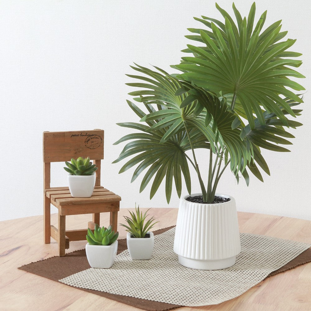 フェイクグリーン 観葉植物 インテリアポット 卓上 簡単手入れ パキラ アロエ シダ  【FB-GRN-TP】