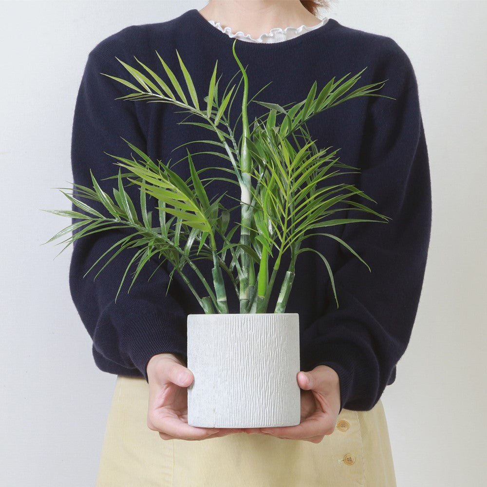 フェイクグリーン 観葉植物 インテリアポット 卓上 簡単手入れ パキラ アロエ シダ  【FB-GRN-TP】