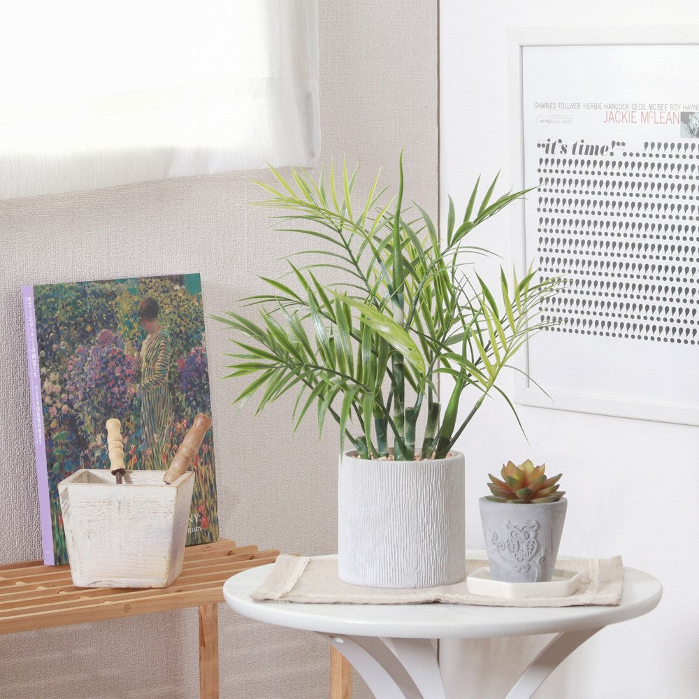 フェイクグリーン 観葉植物 インテリアポット 卓上 簡単手入れ パキラ アロエ シダ  【FB-GRN-TP】