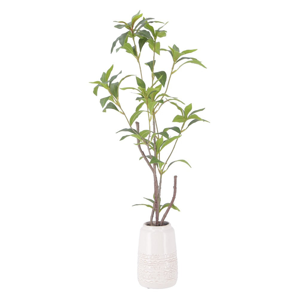 癒しインテリア　清潔管理　おしゃれ緑化