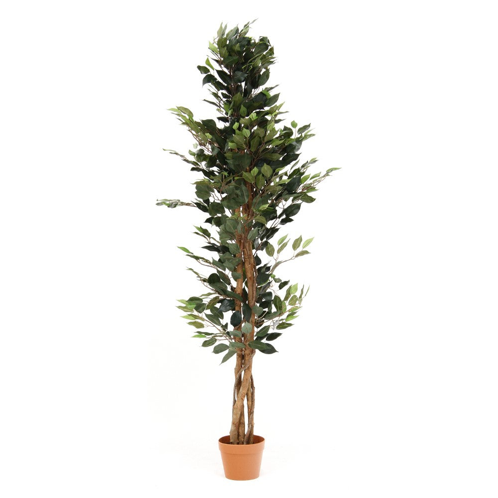 フェイクツリー　インテリアグリーン　ボリューム感