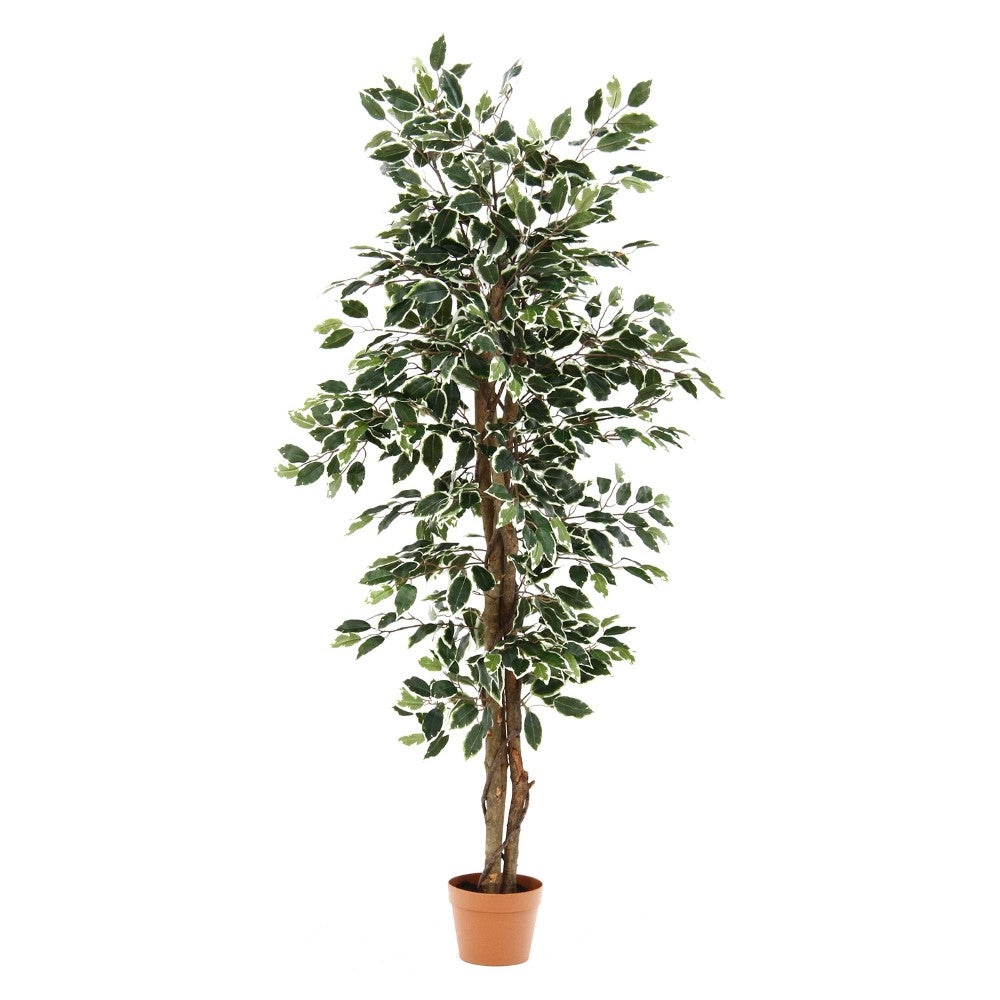 店舗装飾　商業デザイン　演出グリーン