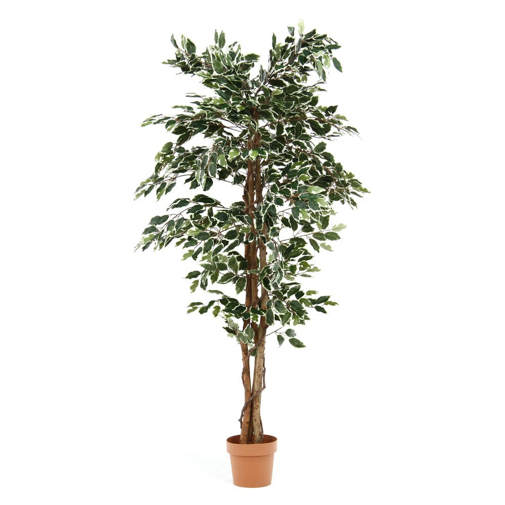 フェイクグリーン　観葉ディスプレイ　インテリア