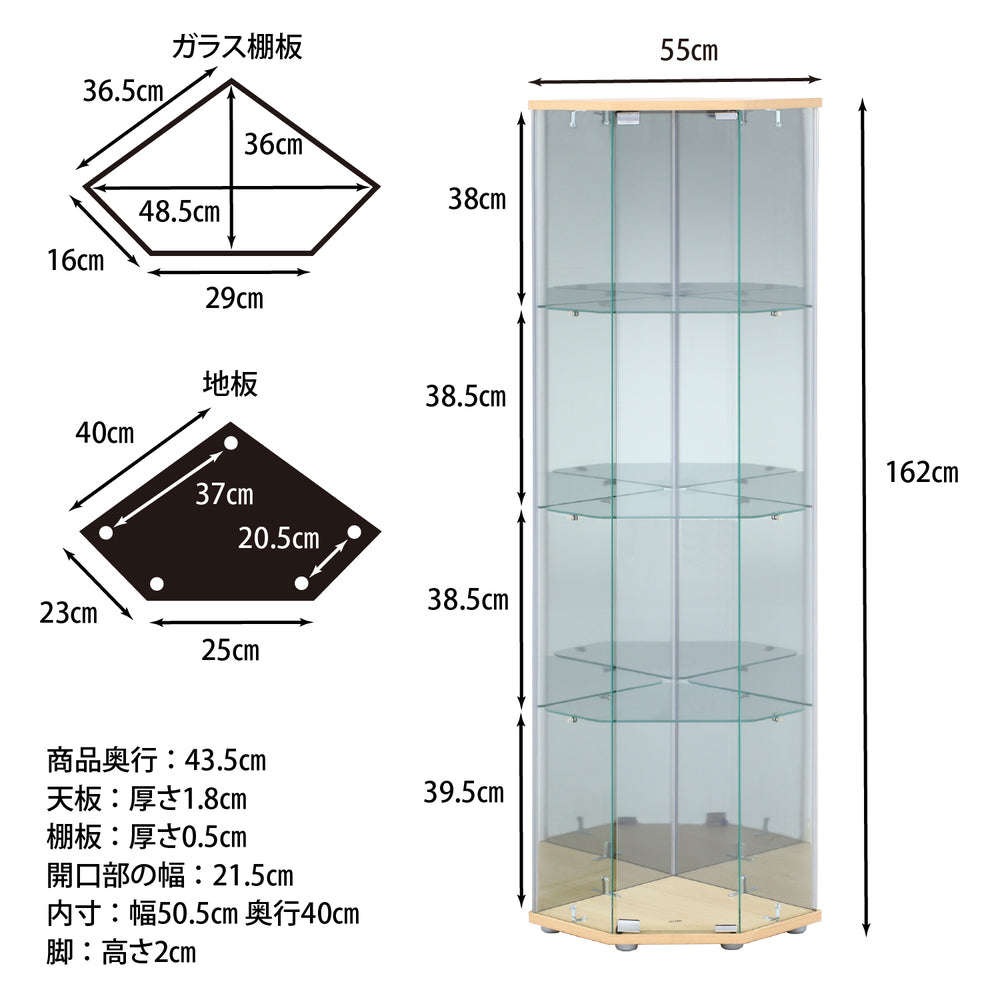 本体寸法　ガラスコレクションケース　スリム