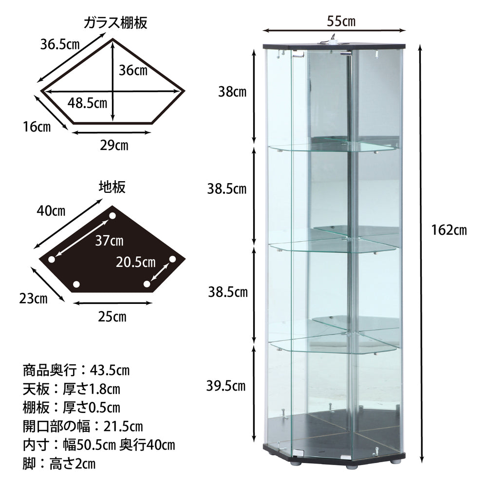 本体寸法　コレクションケース　ライト付き