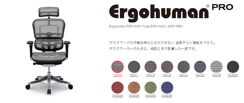 Ergohuman PRO ハンガー付　クッションシート